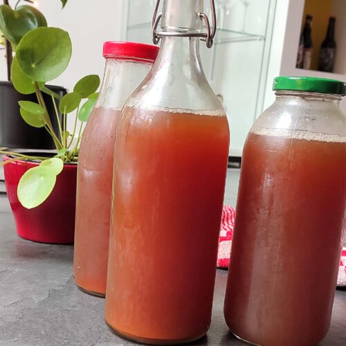 Kombucha voor helden